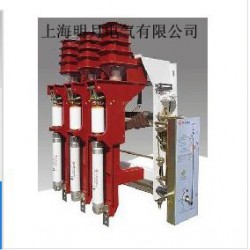 質量好的FZN25-12高壓負荷開關溫州口碑好的公司供應