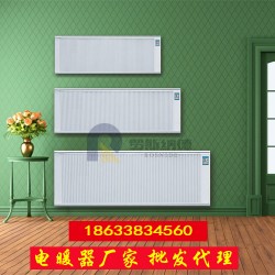 濟南智能家用碳纖維電暖器 壁掛式可移動式電取暖器 廠家直銷