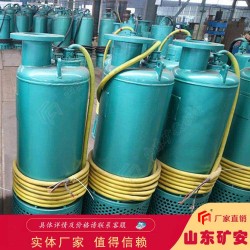 75KW礦用潛水排沙電泵 資質(zhì)齊全 75KW