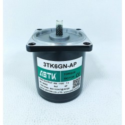 ASTK牌扭力馬達 3TK6GN-AP 當天發